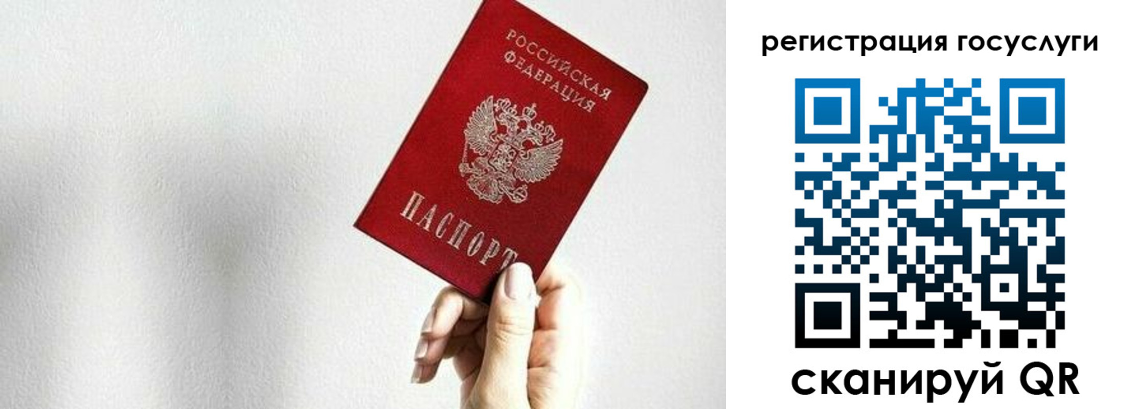 временная регистрация гарантия в Камчатской области